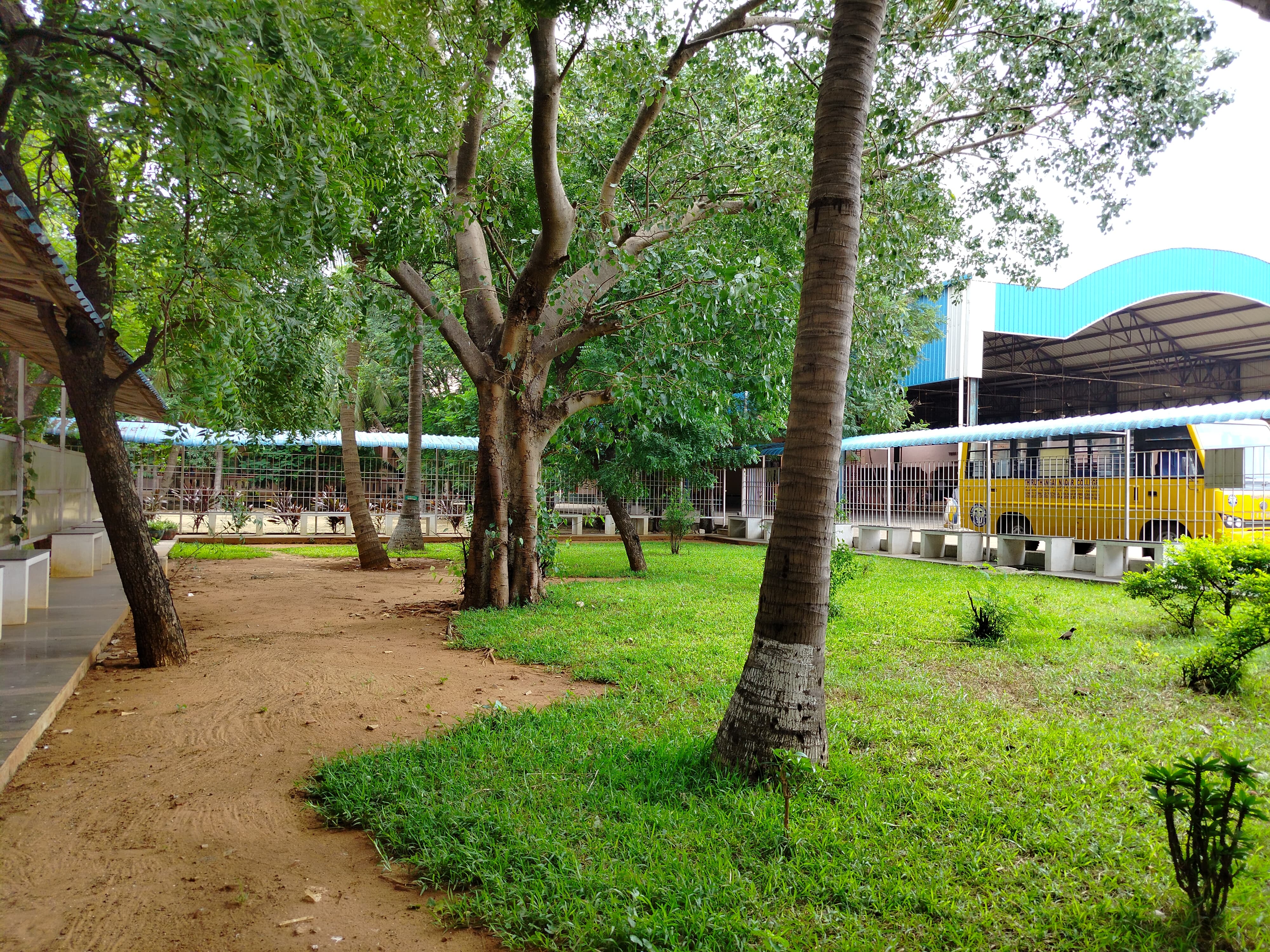 Eco Club