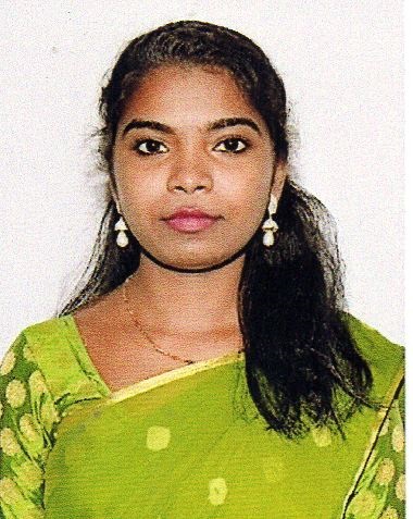 Committee Member 2